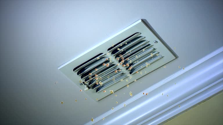 Best Air Duct Cleaning Near Me  in Saratoga, WY