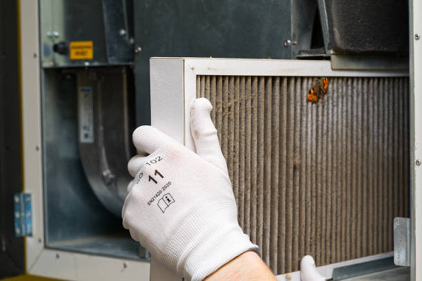 Best Home Air Vent Cleaning  in Saratoga, WY