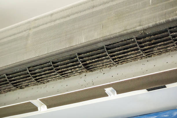 Best Duct Cleaning for Homes  in Saratoga, WY